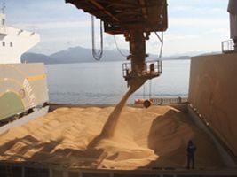 Brasil bate recorde na exportação de soja