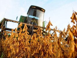 Aprosoja/MS realiza lançamento oficial da colheita da soja e plantio de milho safra 15/16 em MS