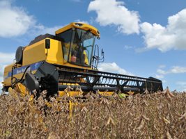 No Paraná, colheita da soja acelera e já alcança 41% da área plantada