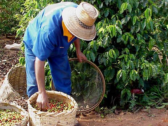 Agronegócio gera mais de 21 mil postos de trabalho no Rio Grande do Sul no primeiro trimestre