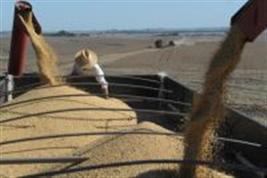 CNA teme que mais Estados cobrem ICMS de exportação de soja e milho