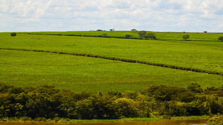 Rebaixamento de nota de risco e câmbio devem diminuir mapa agrícola do Brasil