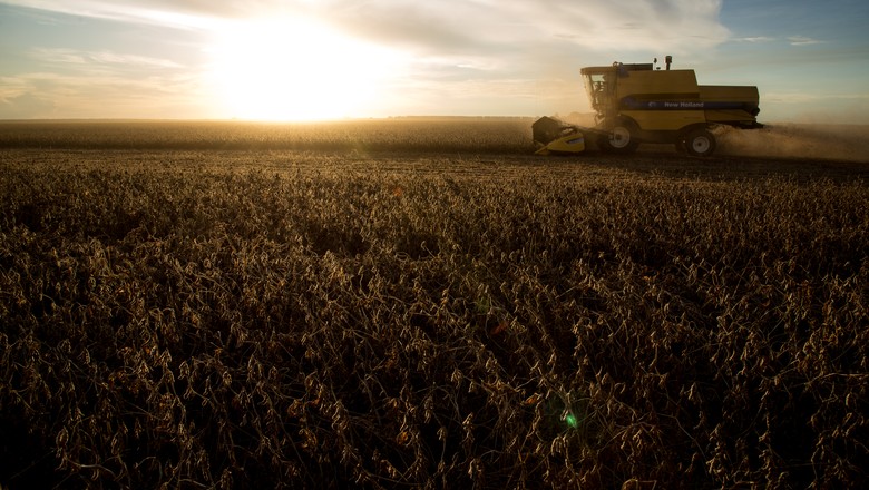 Colheita da soja se aproxima da metade do terreno cultivado nos EUA