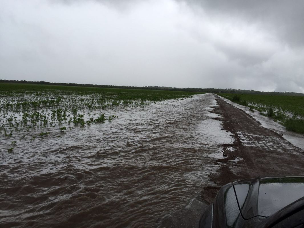 Chuvas fortes castigam lavouras de soja no MATOPIBA; já há danos irreversíveis