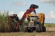 Moagem no Centro-Sul atinge 40,47 milhões de toneladas de cana-de-açúcar na segunda quinzena de setembro