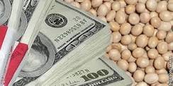 Rabobank reforça influência do dólar nos preços das commodities agrícolas
