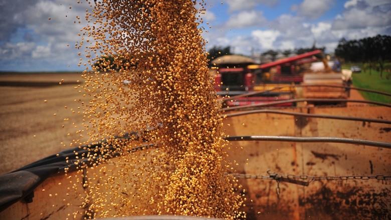 EUA reajustam produção local e global de soja