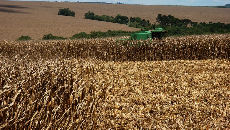 Paraná acelera colheita de milho e caminha para safra cheia