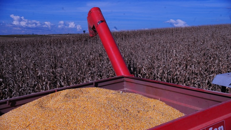 EUA devem produzir 347,64 milhões de toneladas de milho