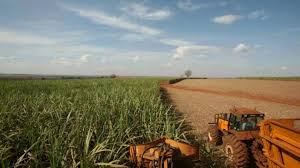 Usinas com poucos recursos priorizam produção de etanol, diz executivo do setor